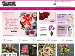 Sites similar to gokmencicekcilik.com
