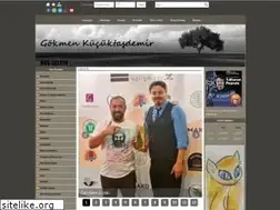 Sites similar to gokmenkucuktasdemir.com