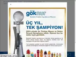 Sites similar to goknur.com.tr