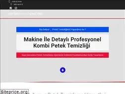 Sites similar to gokturkpetektemizleme.com