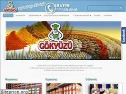Sites similar to gokyuzugida.com.tr