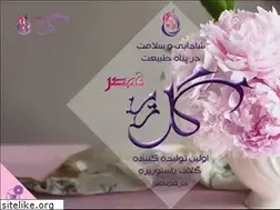 Sites similar to golabgolriz.ir