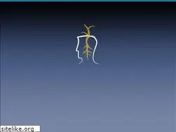 Sites similar to golabip.com