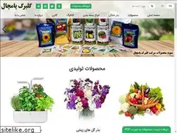 Sites similar to golbargepamchal.com