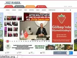 Sites similar to golbasinethaber.com