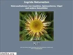 Sites similar to golddistel.de