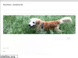 Sites similar to golden-retlover.com