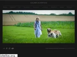 Sites similar to goldenacanthus.de