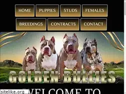 Sites similar to goldenbullies.com