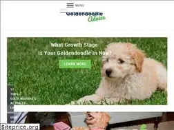 Sites similar to goldendoodleadvice.com