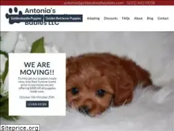Sites similar to goldendoodlebabies.com