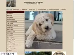 Sites similar to goldendoodlesofniagara.com