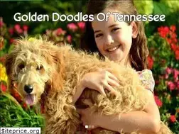 Sites similar to goldendoodlesoftn.com
