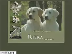 Sites similar to goldenfriend.ru