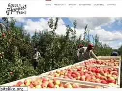 Sites similar to goldenharvestfarms.com