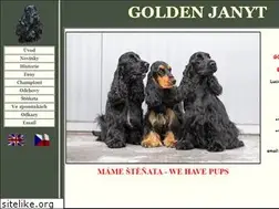 Sites similar to goldenjanyt.com