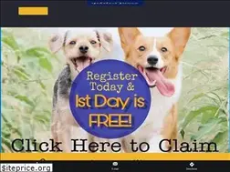 Sites similar to goldenpawspcs.com