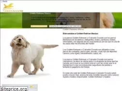 Sites similar to goldenretriever.mx