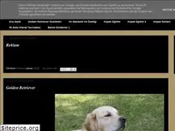 Sites similar to goldenretriever27.blogspot.com