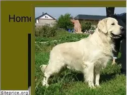 Sites similar to goldenretrieverforum.net