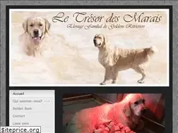 Sites similar to goldensdutresor.fr