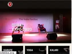Sites similar to goldenstarkarate.com