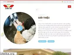 Sites similar to goldenstarna.com