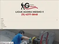 Sites similar to goldentecdesentupidora.com
