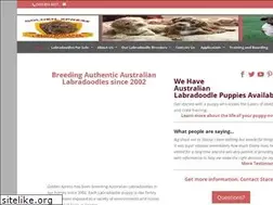 Sites similar to goldenxpresslabradoodles.com