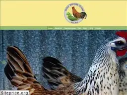 Sites similar to goldfeatherfarms.com