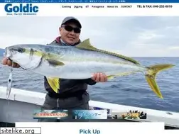 Sites similar to goldic.net