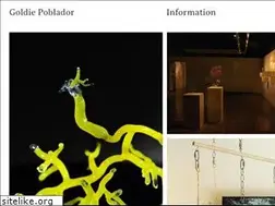 Sites similar to goldiepoblador.com