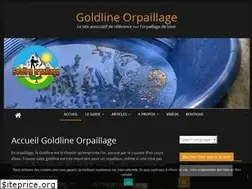 Sites similar to goldlineorpaillage.fr