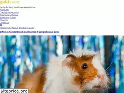 Sites similar to goldsouq.shop