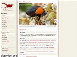 Sites similar to goliathus.com