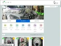 Sites similar to golorchid.com