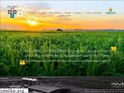 Sites similar to golshahdco.com