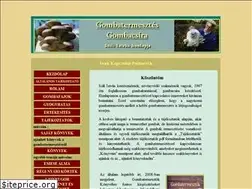 Sites similar to gombacsira.hu
