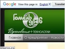 Sites similar to gomeldrev.by