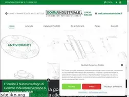 Sites similar to gommaindustriale.it