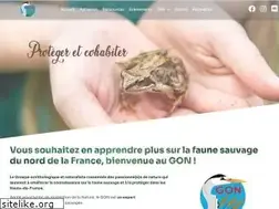Sites similar to gon.fr