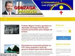Sites similar to gonzagapatriota.com.br