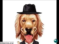 Sites similar to goodfellasdoggydaycare.com