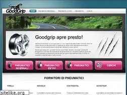 Sites similar to goodgrip.it