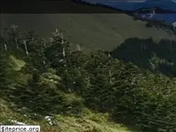 Sites similar to goodtour.com.tw