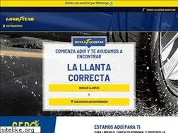 Sites similar to goodyear.com.co