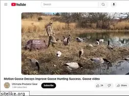 Sites similar to goosedecoysforsale.com