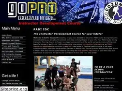 Sites similar to goprocozumel.com