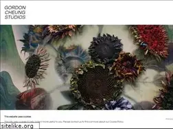 Sites similar to gordoncheung.com