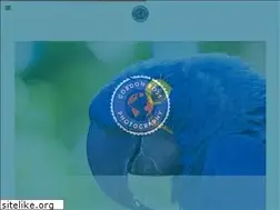 Sites similar to gordonross.ca